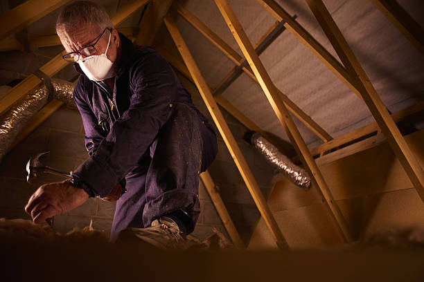 Best Specialty Insulation in Archbald, PA
